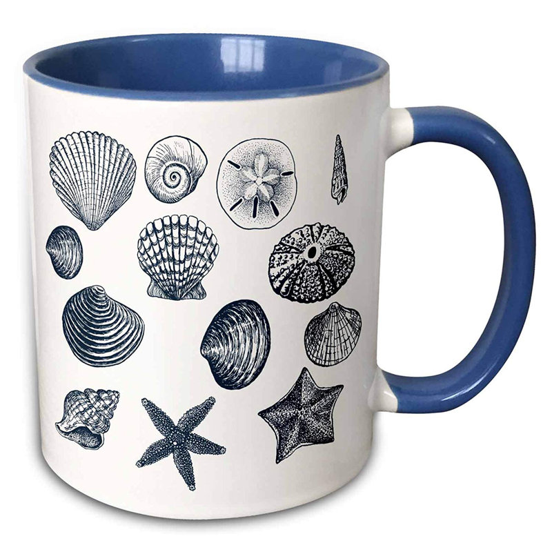 East Urban Home Sea Shells Nautical Beach Theme Ocean Art